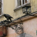 Ljubljana - old Italian restaurant Pacerija