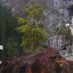 Predjama Castle was probably built in