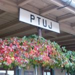 Ptuj is a city and one