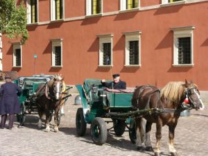 Central Warsaw tourist