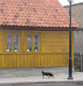 Ciechanow - wood houses and a dog
