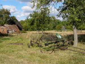 Kalisz rural area