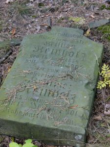 Kalisz rural area abandoned German cemetery