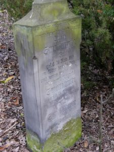 Kalisz rural area abandoned German cemetery