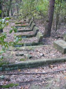 Kalisz rural area abandoned German cemetery