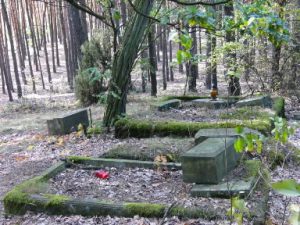 Kalisz rural area (outside the city) - abandoned cemetery