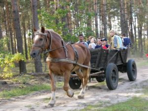 Kalisz rural area school outing