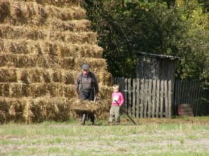 Kalisz rural area - grandpa's little helper