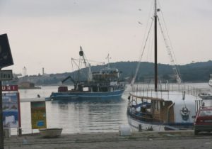 Pula fishing port