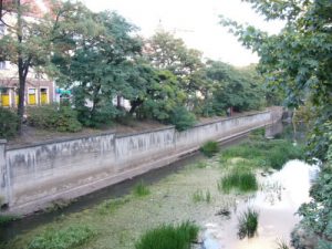 Kalisz city views - lazy river