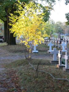 Kalisz city views - local cemetery