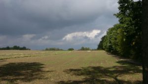 Kazimierz Dolny - farm land outside the city