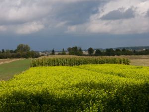 Kazimierz Dolny - rural area colors