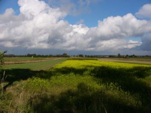 Kazimierz Dolny - rural area colors