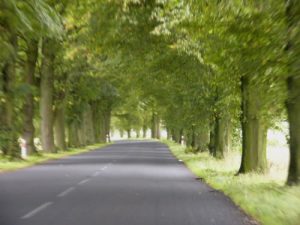 Kolobrzeg - rural road