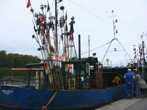 Kolobrzeg - fishing port