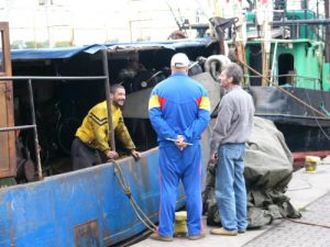 Kolobrzeg - fishing port