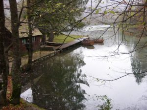 In Plitvice Lakes Park sixteen lakes descend to form the