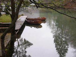 In Plitvice Lakes Park sixteen lakes descend to form the