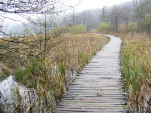 In Plitvice Lakes National Park sixteen lakes at descending elevations