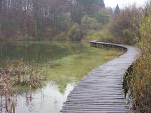 In Plitvice Lakes National Park sixteen lakes at descending elevations