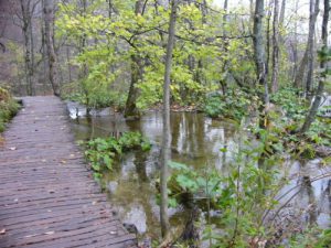 In Plitvice Lakes National Park sixteen lakes at descending elevations