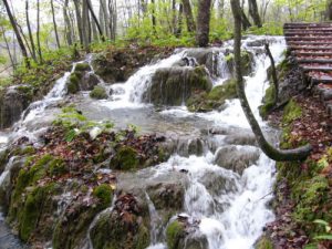 In Plitvice Lakes National Park sixteen lakes at descending elevations