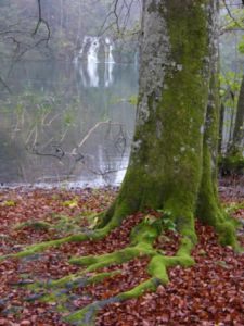 The Plitvice Lakes National Park is a scenic wonder.