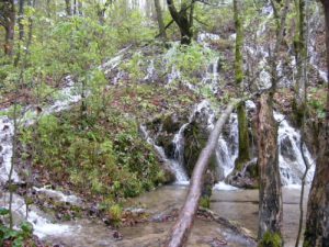 Beautiful tiny waterfalls