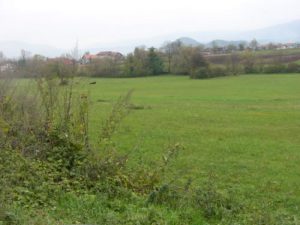 Green farmland