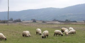 The rugged highlands contain Croatia's wartime ghosts, but many new houses