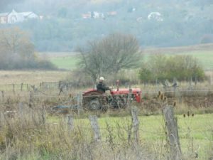 Rural Croatian life goes on as