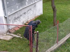 Patched bullts holes, a green garden