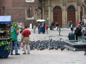 Krakow - views of city life