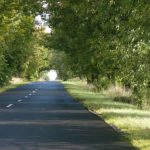 Rural road outside Lancut