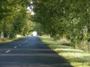 Rural road outside Lancut