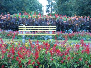 Poland, Zamosc Town - Bench and Garden