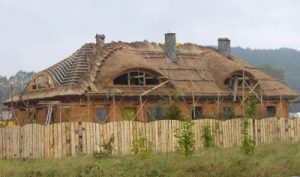 New house with unusual thatch roof