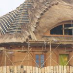 New house with unusual thatch roof