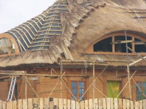 New house with unusual thatch roof