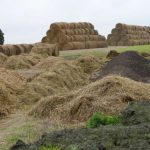 Farmland on the Baltic Sea coast