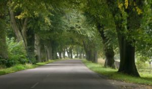 Rural road near the Baltic