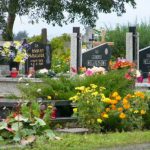 Well-kept cemetery with fresh flowers -