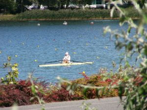 Poznan competition rowing venue