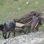 Rural Transylvania Farmer