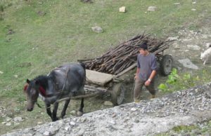 Rural Transylvania Farmer