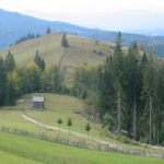 Transylvania Countryside and Carpathian