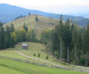 Transylvania Countryside and Carpathian