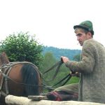 Rural Horsecart Driver