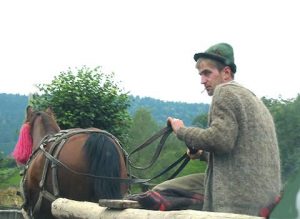 Rural Horsecart Driver